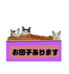 てばさんのスタンプ家族用ご飯編（個別スタンプ：25）