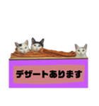 てばさんのスタンプ家族用ご飯編（個別スタンプ：26）