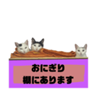 てばさんのスタンプ家族用ご飯編（個別スタンプ：27）