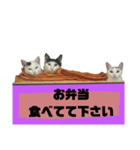 てばさんのスタンプ家族用ご飯編（個別スタンプ：30）