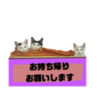 てばさんのスタンプ家族用ご飯編（個別スタンプ：32）