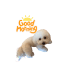 愛犬くぅの日常②（個別スタンプ：3）