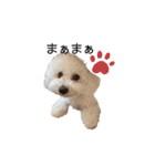 愛犬くぅの日常②（個別スタンプ：5）