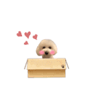 愛犬くぅの日常②（個別スタンプ：14）