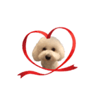 愛犬くぅの日常②（個別スタンプ：15）