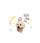 愛犬くぅの日常②（個別スタンプ：17）