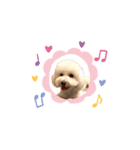 愛犬くぅの日常②（個別スタンプ：18）