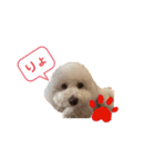 愛犬くぅの日常②（個別スタンプ：19）