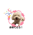 愛犬くぅの日常②（個別スタンプ：20）