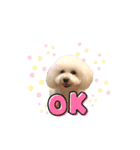 愛犬くぅの日常②（個別スタンプ：21）