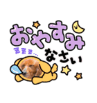 日常で使えるダックススタンプ☆dachshund（個別スタンプ：6）