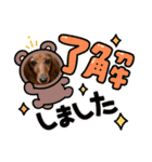 日常で使えるダックススタンプ☆dachshund（個別スタンプ：20）