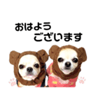 キキララくぅねねスタンプ（個別スタンプ：2）