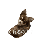 ジェリースタンプだよだょぉ（個別スタンプ：3）