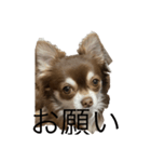 ジェリースタンプだよだょぉ（個別スタンプ：8）
