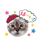 保護猫マロン好日スタンプ3（個別スタンプ：3）