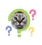 保護猫マロン好日スタンプ3（個別スタンプ：9）