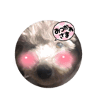 いつもニコニコ可愛いめいちゃん（個別スタンプ：5）