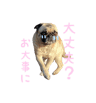 こももです！すももです！（個別スタンプ：4）