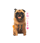 こももです！すももです！（個別スタンプ：11）