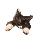 我が家自慢のanimals（個別スタンプ：6）