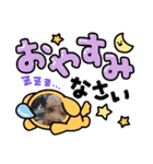 我が家自慢のanimals（個別スタンプ：8）