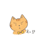 猫のこうのすけ（個別スタンプ：5）