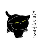 黒猫ろん2 (ゆる敬語)（個別スタンプ：10）