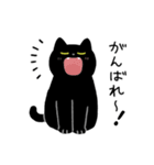 黒猫ろん2 (ゆる敬語)（個別スタンプ：32）