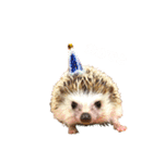 ハリネズミのとの。（個別スタンプ：5）