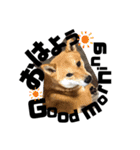 HIROSHIとMITUKO（個別スタンプ：3）
