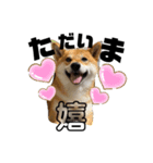 HIROSHIとMITUKO（個別スタンプ：6）