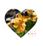 nanda flower フラワー（個別スタンプ：3）