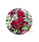 nanda flower フラワー（個別スタンプ：4）