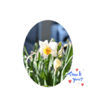 nanda flower フラワー（個別スタンプ：5）