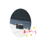 nanda flower フラワー（個別スタンプ：6）