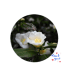 nanda flower フラワー（個別スタンプ：9）