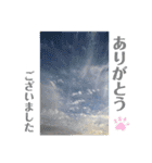 nanda flower フラワー（個別スタンプ：10）