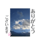 nanda flower フラワー（個別スタンプ：14）