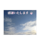 nanda flower フラワー（個別スタンプ：18）