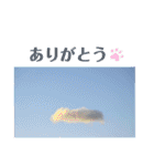 nanda flower フラワー（個別スタンプ：19）