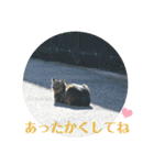 nanda flower フラワー（個別スタンプ：32）