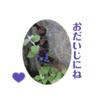 nanda flower フラワー（個別スタンプ：34）