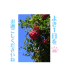 nanda flower フラワー（個別スタンプ：38）