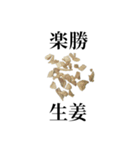 薬学的合格祈願スタンプ（個別スタンプ：26）