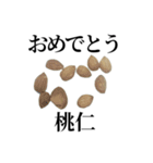 薬学的合格祈願スタンプ（個別スタンプ：27）