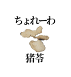 薬学的合格祈願スタンプ（個別スタンプ：28）