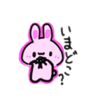 うさぎの普段使える可愛いスタンプ（個別スタンプ：9）