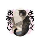 内田きょうこ（個別スタンプ：9）