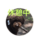 飛＆甜の日常5（個別スタンプ：3）